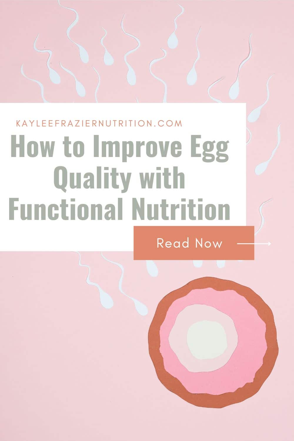 Sperm racing towards egg with article title overlaid: How to Improve Egg Quality with Functional Nutrition