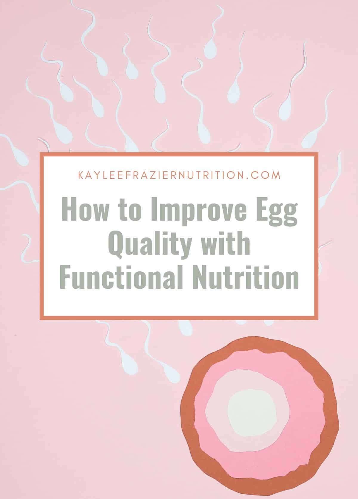 Sperm racing towards egg with article title overlaid: How to Improve Egg Quality with Functional Nutrition